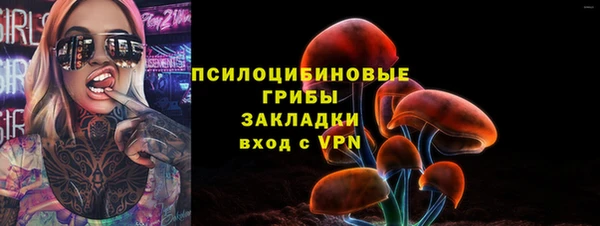 ешки Сафоново