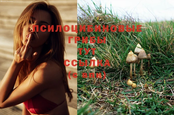 каннабис Зеленодольск
