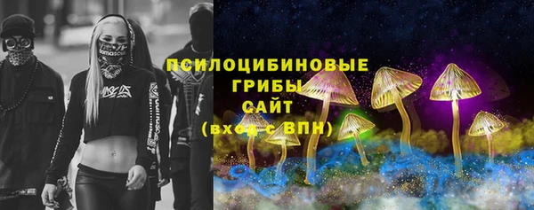 ешки Сафоново