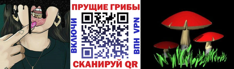 Галлюциногенные грибы Cubensis  купить   Карталы 