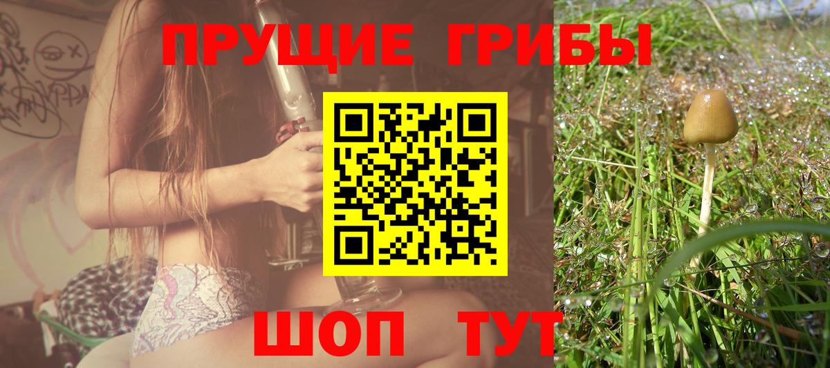 Псилоцибиновые грибы Psilocybe Карталы