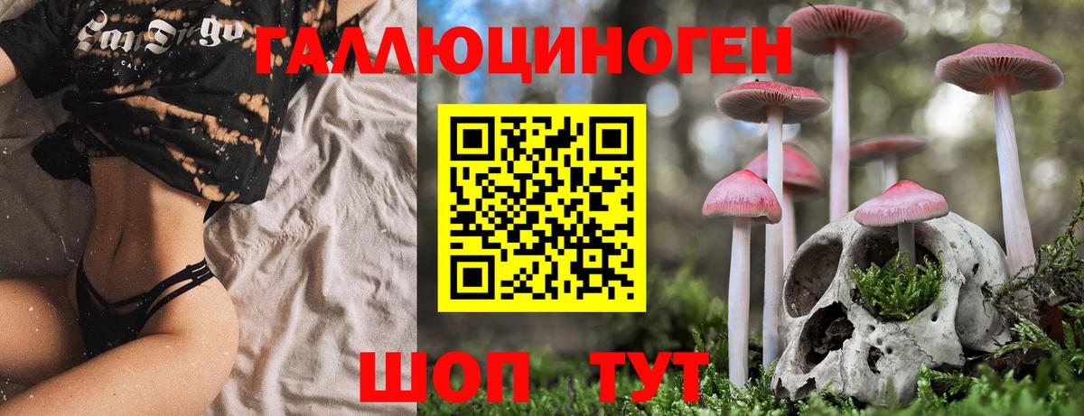 Карталы  Псилоцибиновые грибы Magic Shrooms  Вход с VPN 